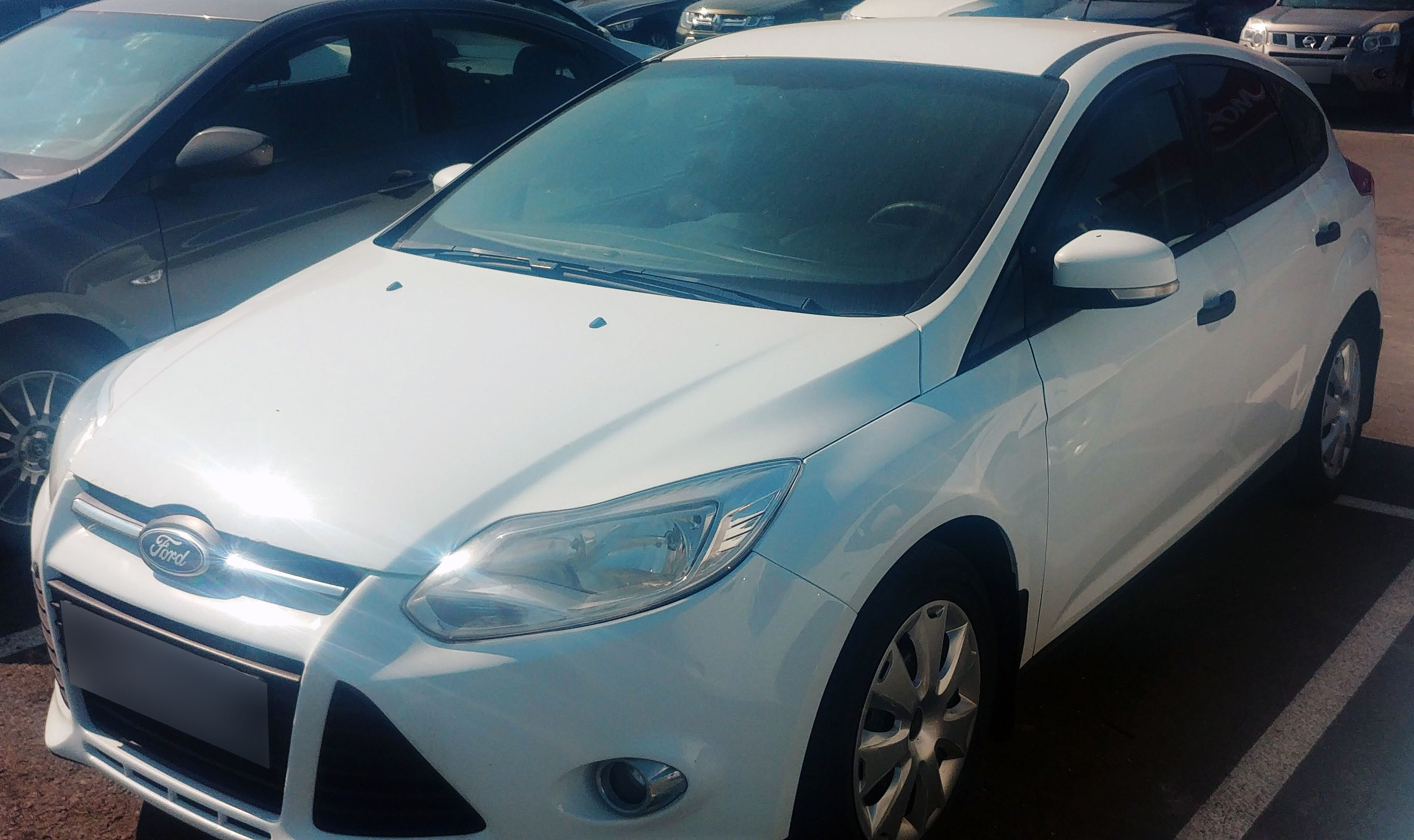 Прокат Ford Focus в Хабаровске без водителя - 1050 в день